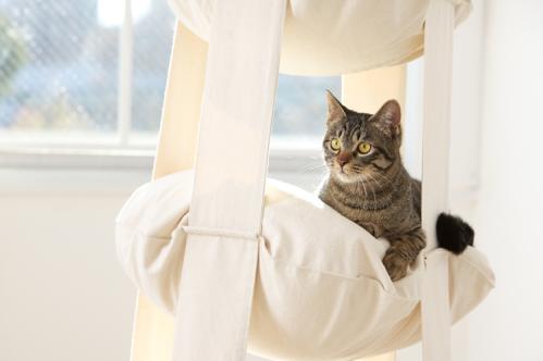 The Cat's Trapeze naturvit bomull - 3 våningar