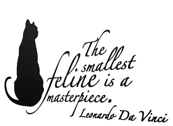 Smallest Feline