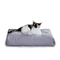 PADI modern catbed grå