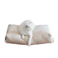 PADI modern catbed beige