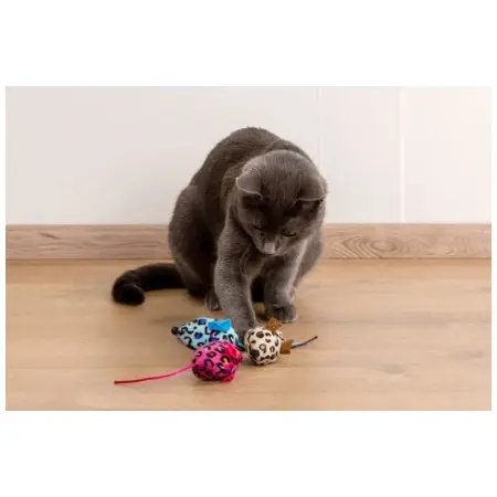 Klicka för större bild