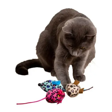 Klicka för större bild