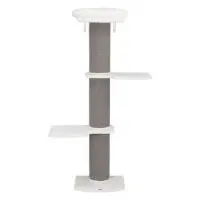 Acadia klösträd väggmonterat