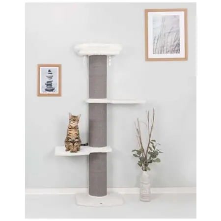 Klicka för större bild