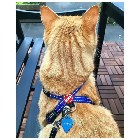 Klicka för större bild