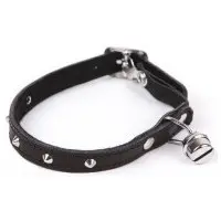 Katthalsband svart med nitar