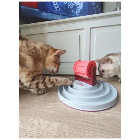 Klicka för större bild