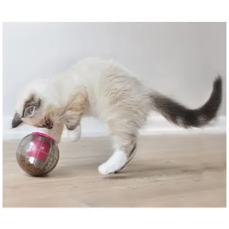 Klicka för större bild