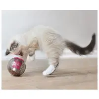 Catmosphere treatdispenser Rosa