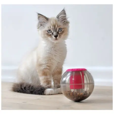 Klicka för större bild