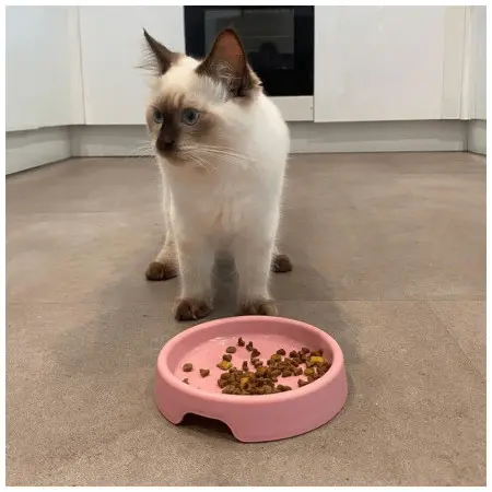 Klicka för större bild