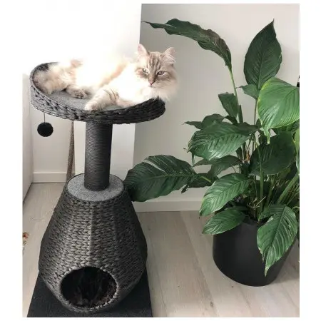 Klicka för större bild