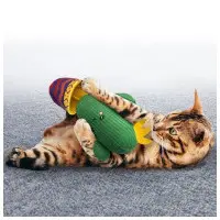 Kong Cat Wrangler Cactus