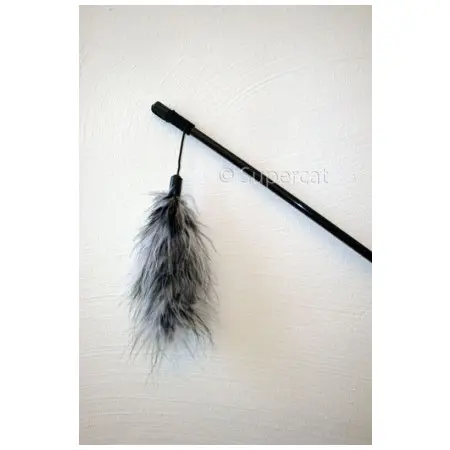 Klicka för större bild