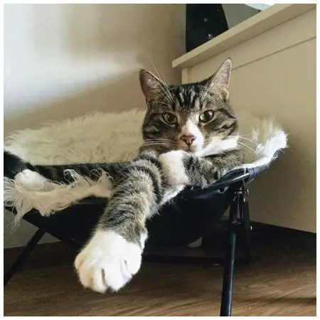 Klicka för större bild