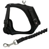 Kattsele Y-sele mesh svart