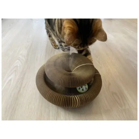 Klicka för större bild