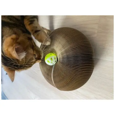 Klicka för större bild