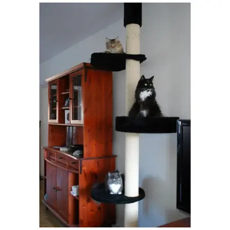 Klicka för större bild