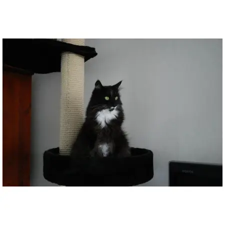 Klicka för större bild