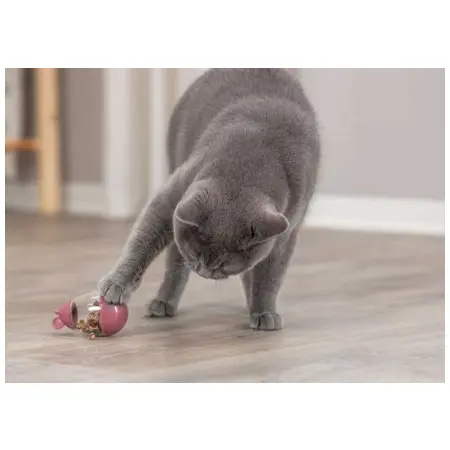 Klicka för större bild