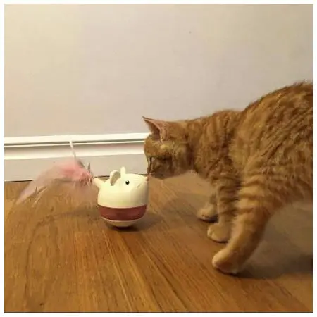 Klicka för större bild