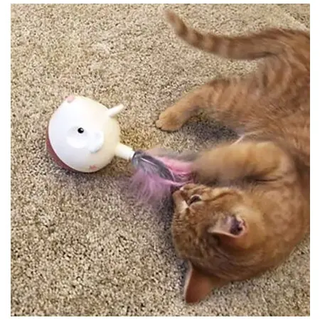 Klicka för större bild