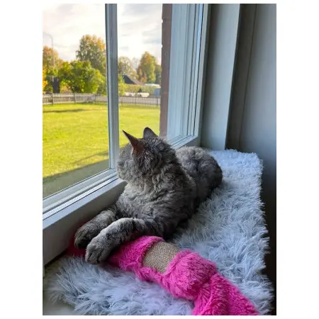 Klicka för större bild