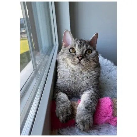 Klicka för större bild