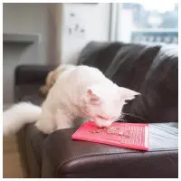 Lickimat Cat Soother rosa 20 x 20 cm