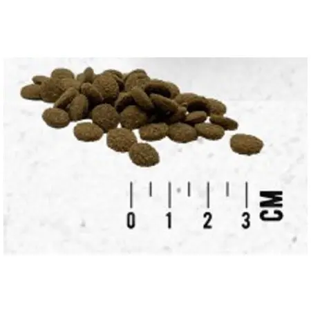 Klicka för större bild