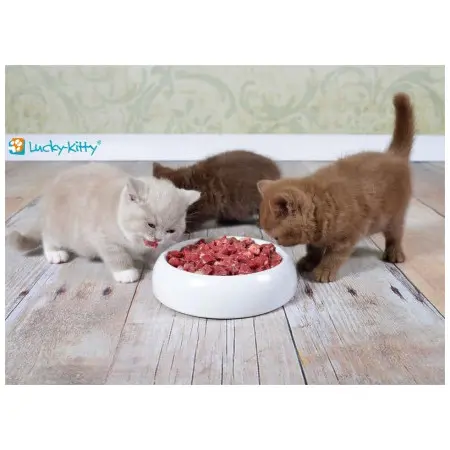 Klicka för större bild