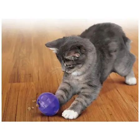 Klicka för större bild