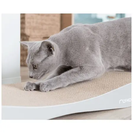 Klicka för större bild