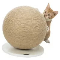 Klösboll på vit platta