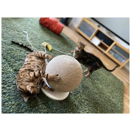 Klicka för större bild