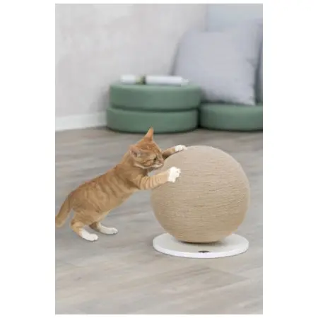 Klicka för större bild