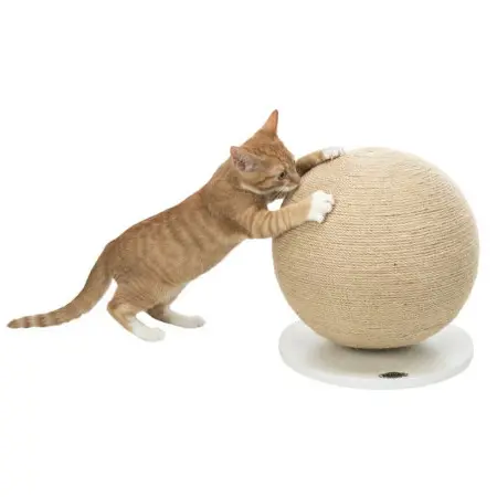 Klicka för större bild