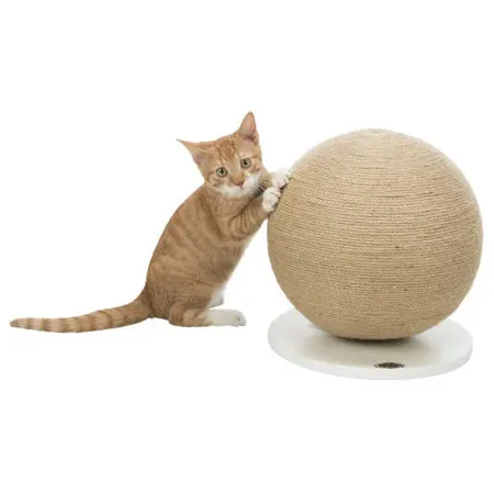 Klicka för större bild