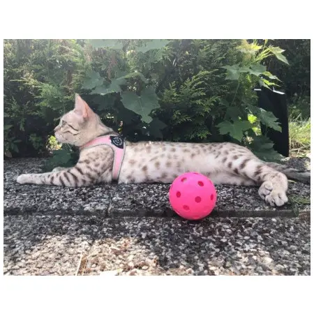 Klicka för större bild