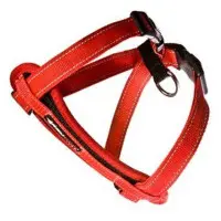 Ezydog kattsele röd XS, med bilbältes-hållare