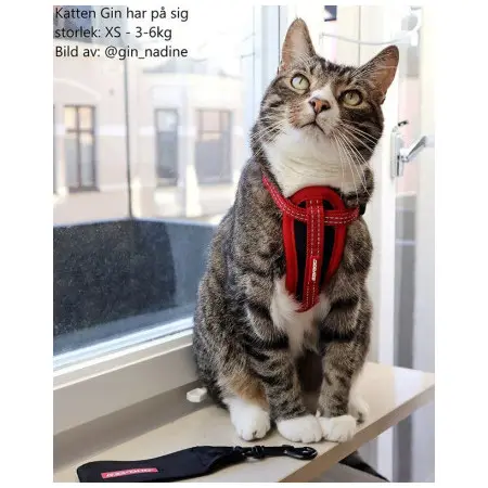 Klicka för större bild