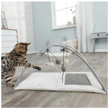 Klicka för större bild