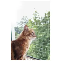 Kattnät transparent 4 x 3 cm