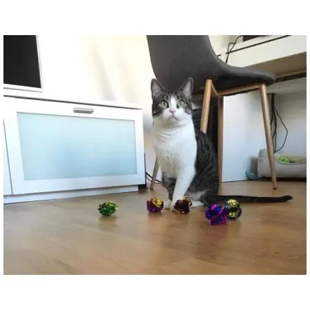 Klicka för större bild