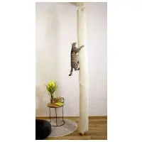 Cat scratching climber