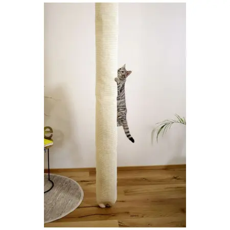 Klicka för större bild