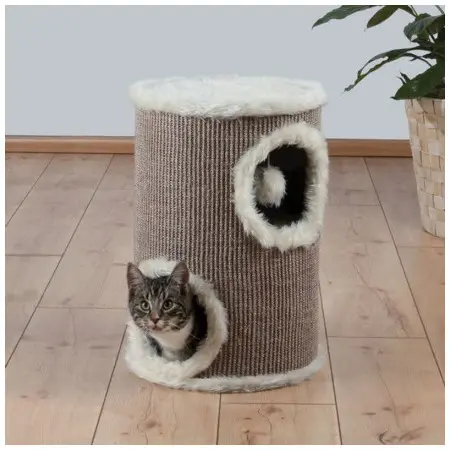 Klicka för större bild