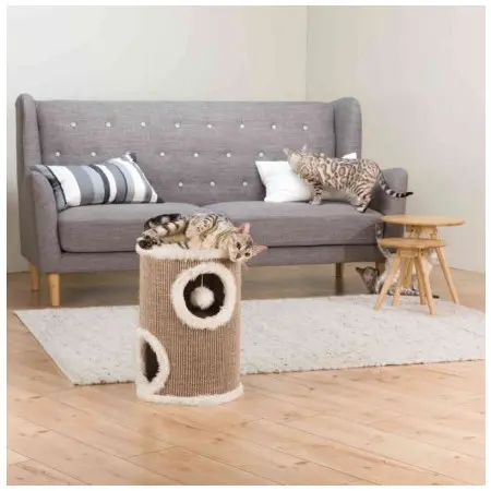 Klicka för större bild