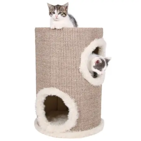 Klicka för större bild